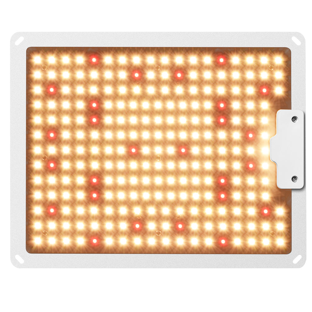 Quantum Board 100w Samsung chips+UL Driver+Full Spectrum