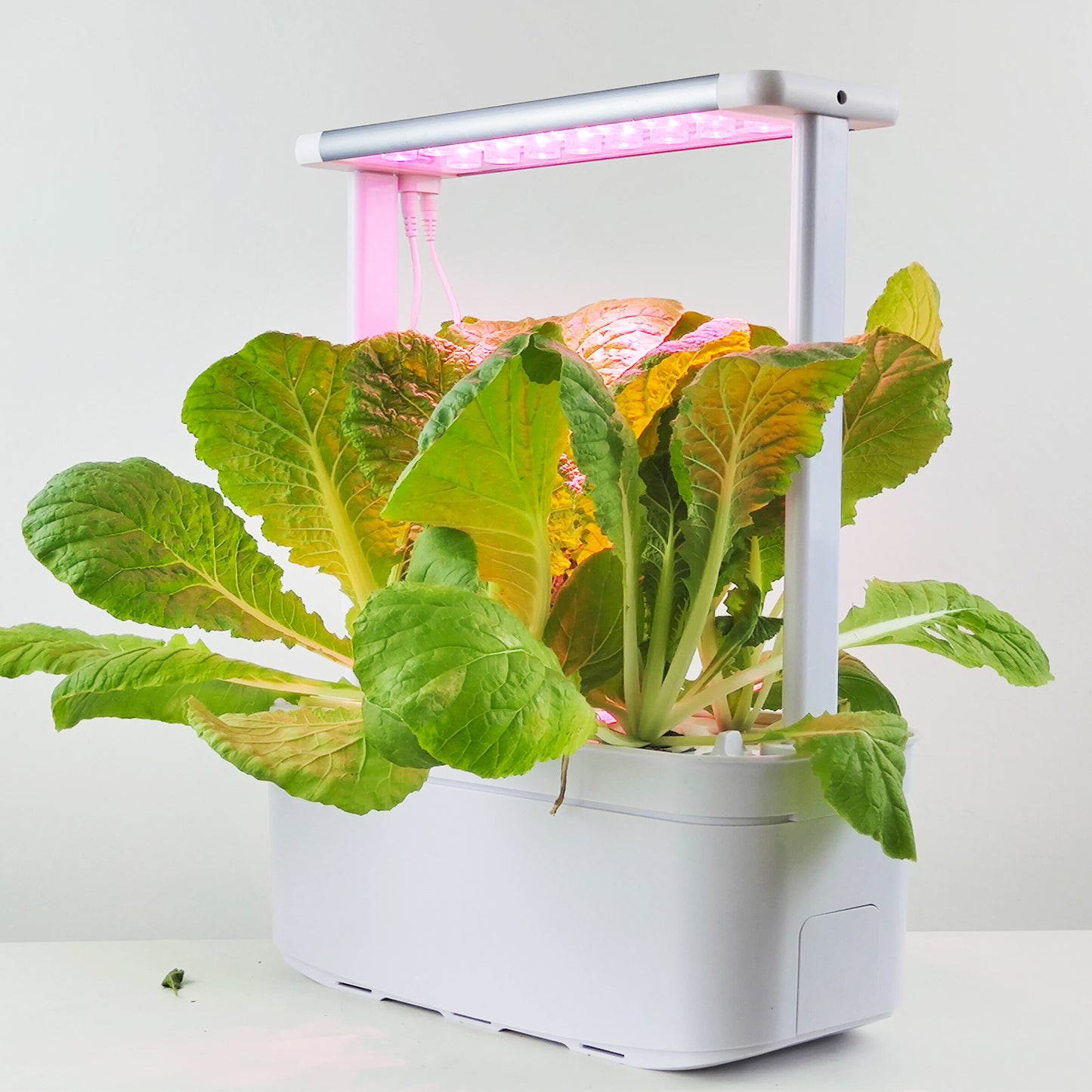 Hydroponics Smart Grow Garden--GX-Hydro-005