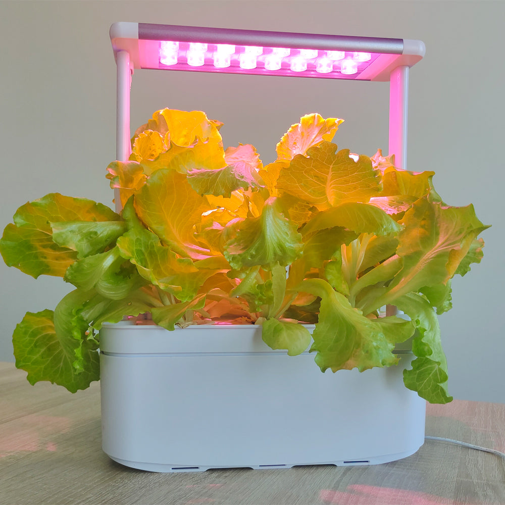 Hydroponics Smart Grow Garden--GX-Hydro-005