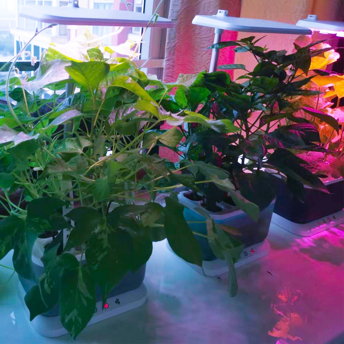 Hydroponics Smart Grow Garden--GX-Hydro-002