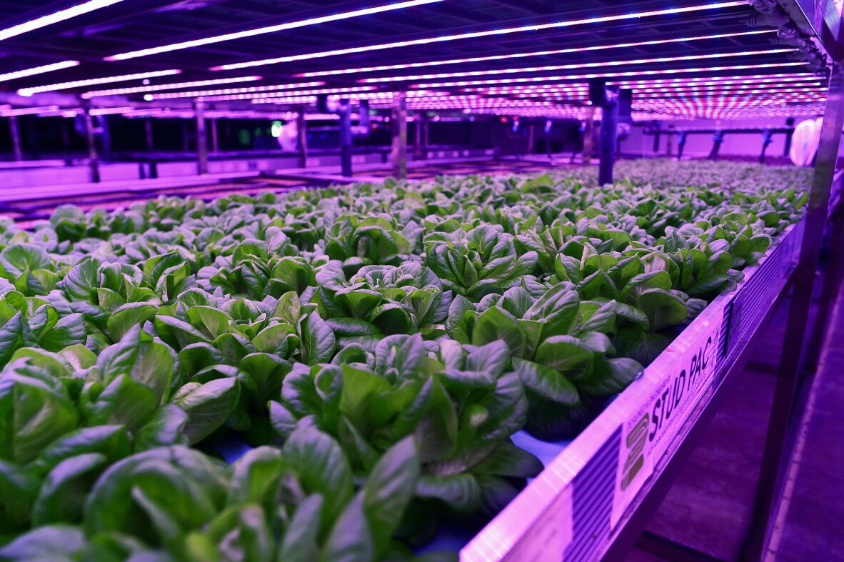 Grow4Max 18-24W Full Spectrum IP65 Waterproof LED Grow Tube Light