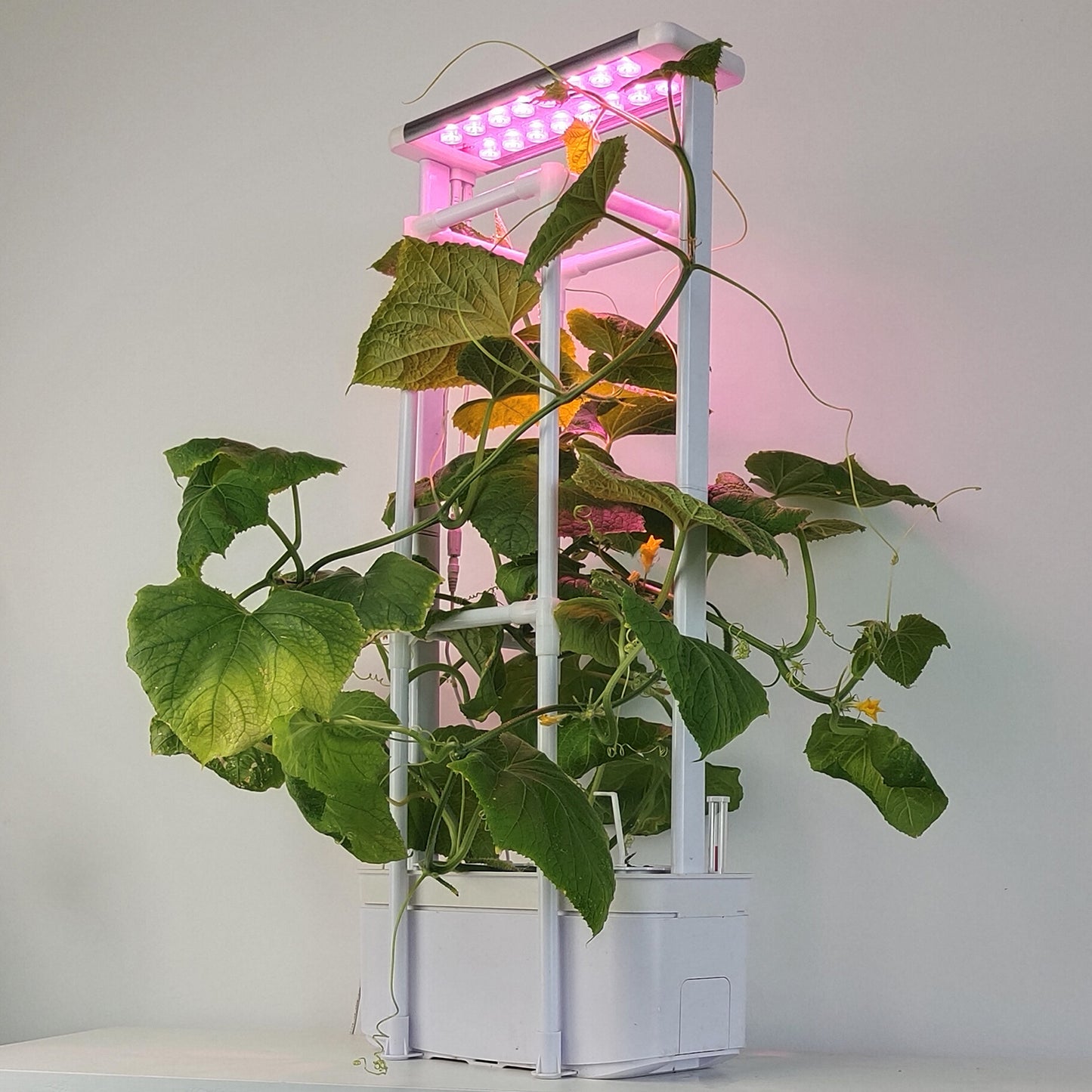 Hydroponics Smart Grow Garden--GX-Hydro-004