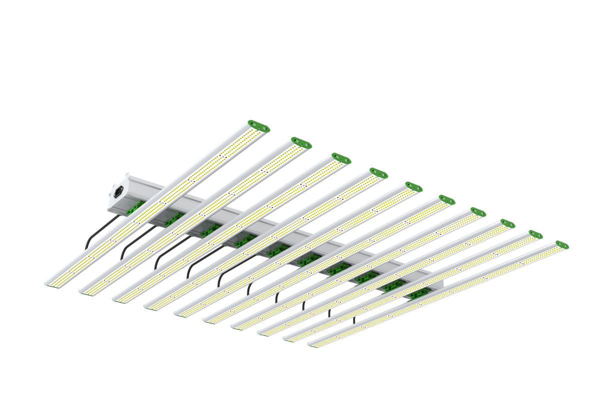 Amber Grow LED AK Series 1000w