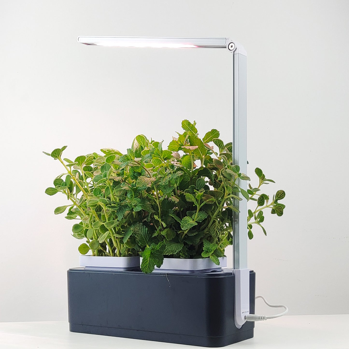 Hydroponics Smart Grow Garden--GX-Hydro-003